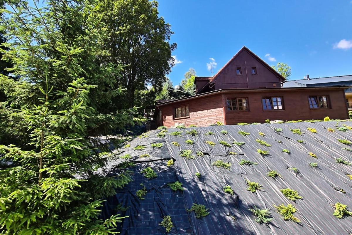 Penzion Harry Na Sjezdovce Krkonose Vysoké nad Jizerou Exterior foto