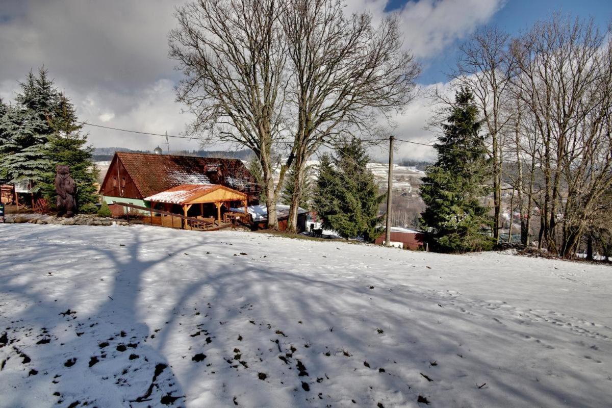 Penzion Harry Na Sjezdovce Krkonose Vysoké nad Jizerou Exterior foto